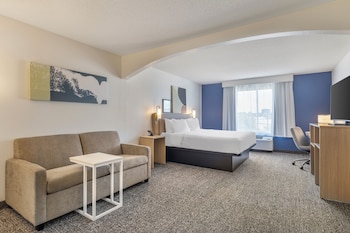 Room, 1 King Bed with Sofa bed, Accessible