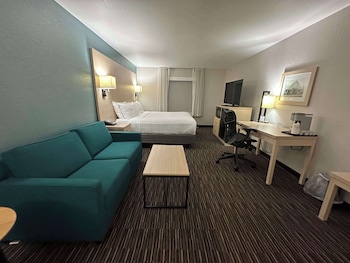 Standard Room, 1 King Bed, Non Smoking