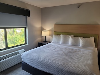 Suite, 1 King Bed, Accessible, Jetted Tub (Roll-in Shower)