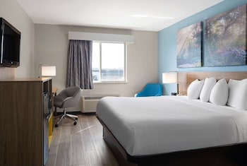 Room, 1 King Bed, Non Smoking, Refrigerator