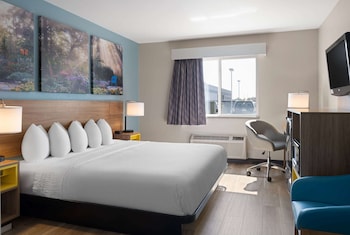Room, 1 King Bed, Non Smoking, Refrigerator