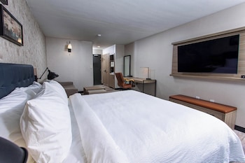 Room, 1 King Bed with Sofa bed