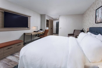 Room, 1 King Bed with Sofa bed