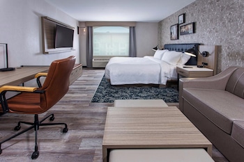 Room, 1 King Bed with Sofa bed