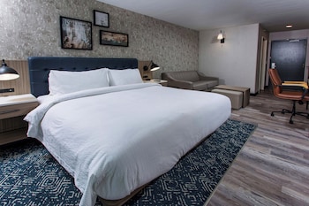 Room, 1 King Bed with Sofa bed