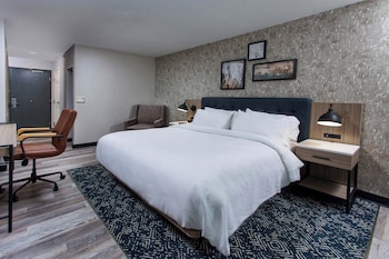 Room, 1 King Bed with Sofa bed