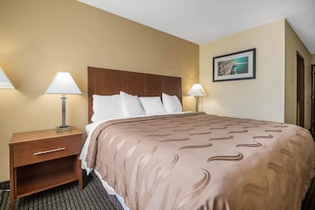 Standard Room, 1 King Bed, Accessible, Non Smoking