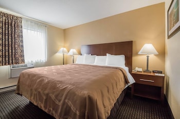 Standard Room, 1 King Bed, Accessible, Non Smoking