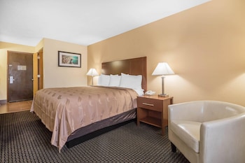 Standard Room, 1 King Bed, Non Smoking