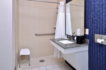 Room, 1 King Bed, Roll-in Shower (Transfer Shower)