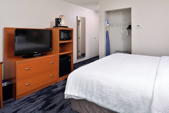 Room, 1 King Bed, Roll-in Shower (Transfer Shower)