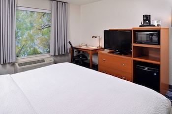 Room, 1 King Bed, Roll-in Shower (Transfer Shower)