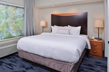 Suite, 1 King Bed with Sofa bed