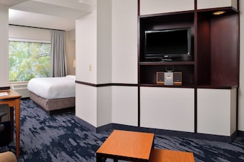 Suite, 1 King Bed with Sofa bed