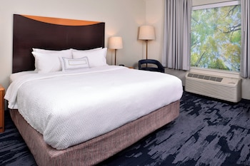 Room, 1 King Bed, Roll-in Shower (Transfer Shower)