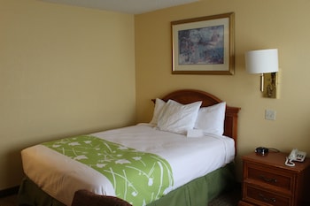 Room, 1 Queen Bed