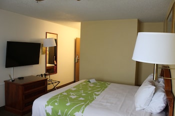 Room, 1 King Bed