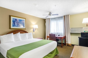 Room, 1 King Bed