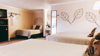 Family Room, Multiple Beds, Non Smoking, Refrigerator & Microwave