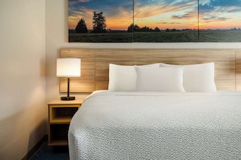 Room, 1 King Bed, Non Smoking