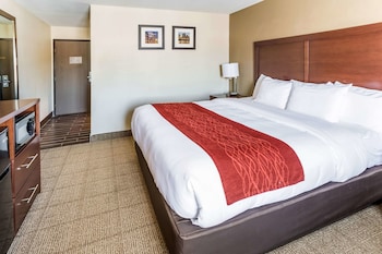 Room, 1 King Bed, Accessible, Non Smoking