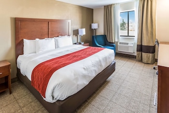 Room, 1 King Bed, Accessible, Non Smoking