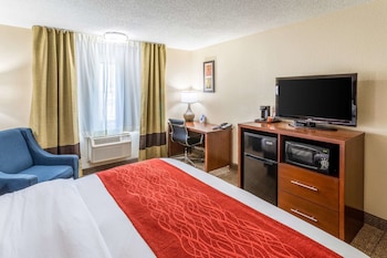 Standard Room, 1 King Bed, Non Smoking