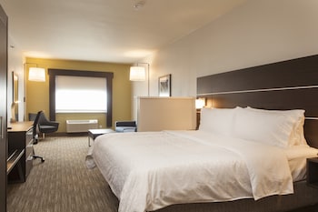 Suite, 1 King Bed (Bath/Shower Combo)