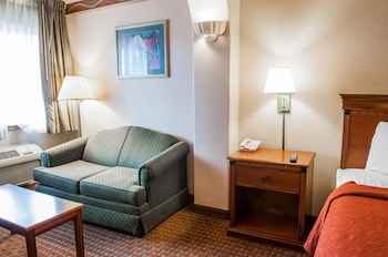 Standard Room, 1 King Bed, Smoking