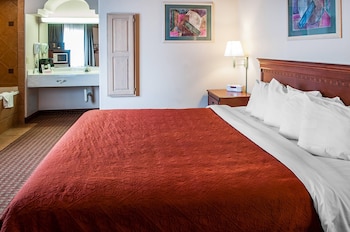 Suite, 1 King Bed, Non Smoking (Upgrade)