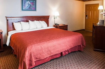 Suite, 1 King Bed, Non Smoking (Upgrade)
