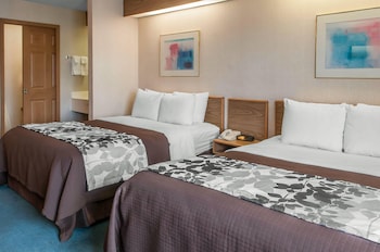 Standard Room, 2 Queen Beds, Non Smoking