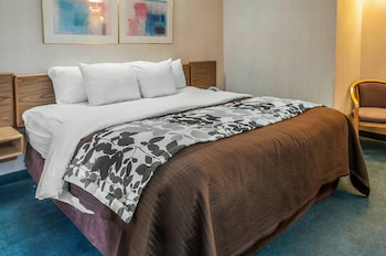 Standard Room, 1 King Bed, Accessible, Non Smoking