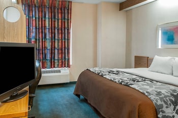 Standard Room, 1 King Bed, Accessible, Non Smoking