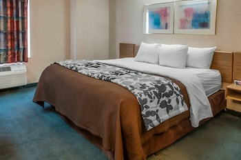 Standard Room, 1 King Bed, Accessible, Non Smoking