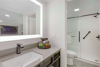Suite, 1 King Bed, Non Smoking (Pet Friendly;with Sofabed)
