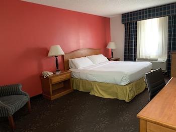 Room, 1 King Bed, Non Smoking