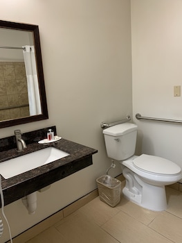 Room, 1 King Bed, Accessible, Non Smoking (Mobility)