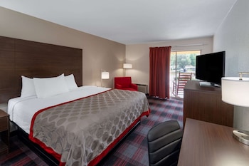 Room, 1 King Bed, Non Smoking, Mountain View