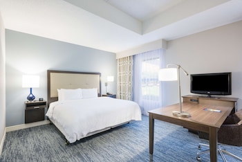 Room, 1 King Bed, Accessible, Non Smoking