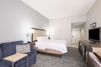 Room, 1 King Bed with Sofa bed, Refrigerator