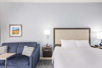 Room, 1 King Bed with Sofa bed, Refrigerator