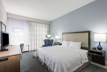 Room, 1 King Bed, Accessible, Non Smoking