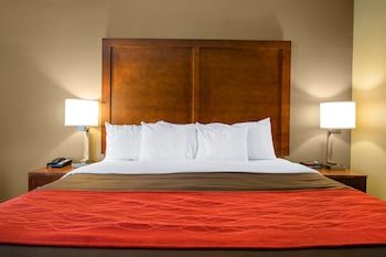 Room, 1 King Bed, Accessible, Non Smoking