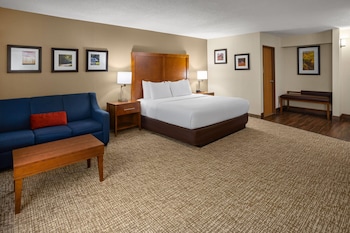 Studio Suite, 1 King Bed, Non Smoking