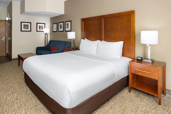 Deluxe Room, 1 King Bed, Non Smoking