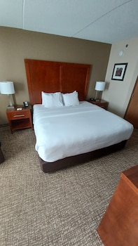 Room, 1 King Bed, Non Smoking