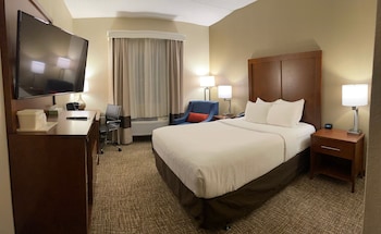 Room, 1 Queen Bed, Accessible, Non Smoking (Mobility/Hearing, Bathtub w/Grab Bars)