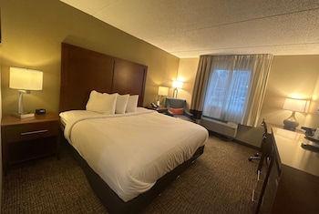 Room, 1 King Bed, Non Smoking
