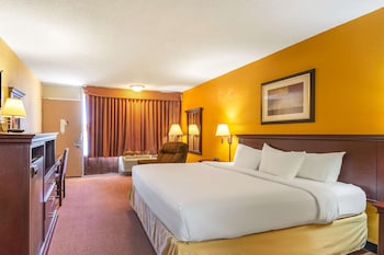 Room, 1 King Bed, Accessible, Non Smoking